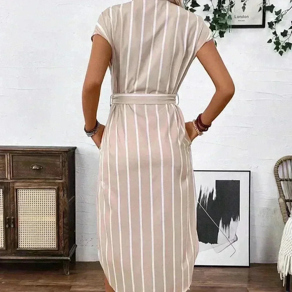 Apricot Casual Women's French-Style Striped Color-Block Shirt Dress - Picture 2 of 8